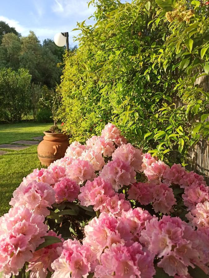 Amaryllis Case Vacanza Romito Magra Dış mekan fotoğraf